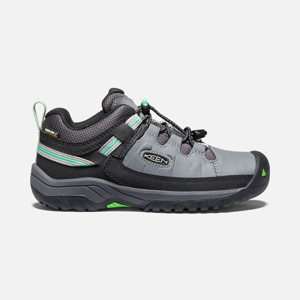 Zapatos de Seguridad Keen Mexico Grises/Verdes - Niños Targhee Waterproof - FT2609583